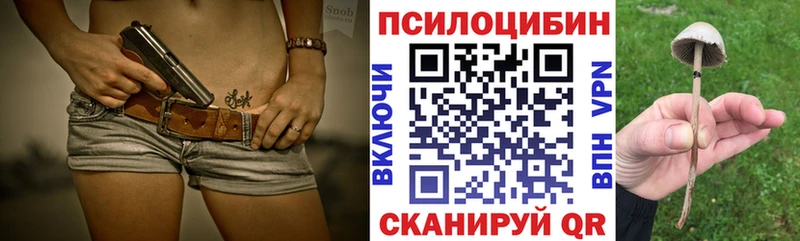 Псилоцибиновые грибы Psilocybine cubensis  нарко площадка наркотические препараты  Белово 